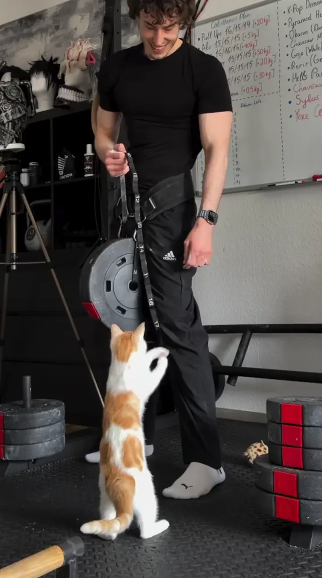 Training behind-the-scenes Story from Impossible Pleasure. Training session with equipment.